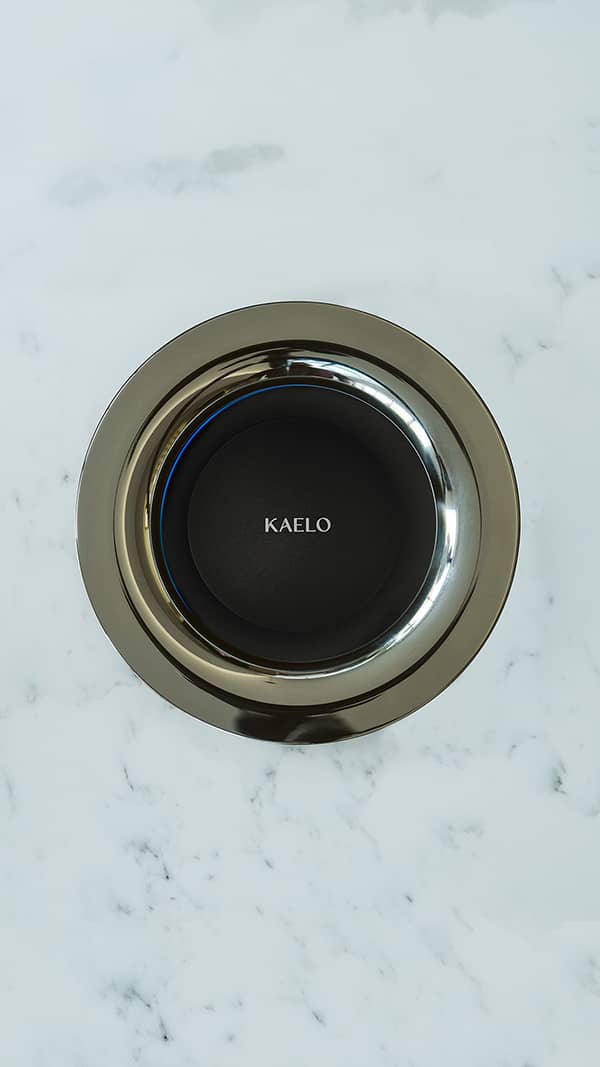 Stainless Steel Polished